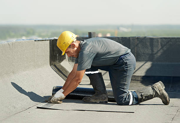Best Insulation Installation Services in Camp Hill, AL